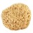 Sea Wool Sponge 4-5 (Small) by Bath & Shower Express  Natural Authentic Renewable Resource for Women & Men Esponja for Exfoliating and Washing Body