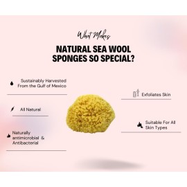 Sea Wool Sponge 4-5 (Small) by Bath & Shower Express  Natural Authentic Renewable Resource for Women & Men Esponja for Exfoliating and Washing Body Sea Wool Sponge 4-5 (Small) by Bath & Shower Express  Natural Authentic Renewable Resource for Women & Men Esponja for Exfoliating and Washing Body