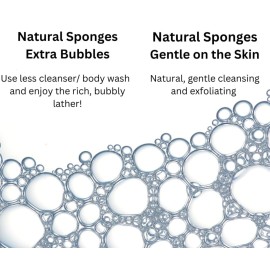 Sea Wool Sponge 4-5 (Small) by Bath & Shower Express  Natural Authentic Renewable Resource for Women & Men Esponja for Exfoliating and Washing Body Sea Wool Sponge 4-5 (Small) by Bath & Shower Express  Natural Authentic Renewable Resource for Women & Men Esponja for Exfoliating and Washing Body