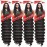 Harlem125 Synthetic Hair Braids Kima Braid Ripple Deep 20 (4-Pack, 1)