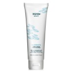 H2O+ Elements Keep it Fresh Cleanser for Normal to Oily Skin, Deeply Cleanses and Removes Impurities, 4 oz