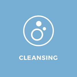 H2O+ Elements Keep it Fresh Cleanser for Normal to Oily Skin, Deeply Cleanses and Removes Impurities, 4 oz