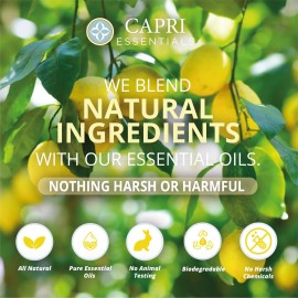 CAPRI ESSENTIALS Hand Soap Liquid, Natural Household Cleaning Supplies, Gentle Plant Based Aromatic Hand Wash with a Blend of Essential Oils, Removes Dirt & Grime, Lemon Verbena Scent, 16 FL Oz