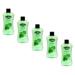 Hawaiian Tropic Lime Coolada After Sun Moisturizer 16 oz (Pack of 5)