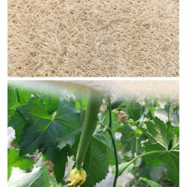 AVESEL Exfoliating Loofah Sponge Pads (Pack of 8) - Large 4x6-100% Natural Luffa and Terry Cloth Materials Loofa Sponge Scrubber Body Glove - Men and Women, Yellow, (Loofah-08)