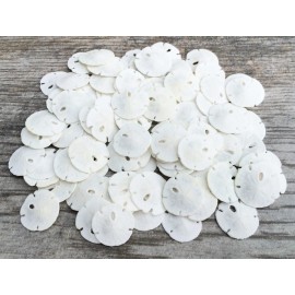 Real Sand Dollars Under 1 (100 Pack) - Sand Dollar Wall Art & Ornament Set - Beach Wedding Decor - Nautical Party Table Decor - Mini Shells for Crafts - Coastal Gifts