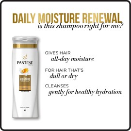 Pantene, Shampoo, Pro-V Daily Moisture Renewal for Dry Hair, 25.4 Fl Oz (Pack of 2), Twin Pack Pantene, Shampoo, Pro-V Daily Moisture Renewal for Dry Hair, 25.4 Fl Oz (Pack of 2), Twin Pack