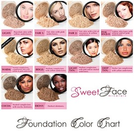 TIMELESS LOOK KIT (FAIR 1) Full Size Mineral Makeup Set Matte Foundation Bare Face Sheer Powder Cover