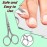 ARSUK Nail Scissors for Manicure Fingernail Toenails Cuticles Stainless Steel (Beauty Scissors)