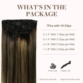 GOO GOO Clip in Hair Extensions Real Human Hair, Remy Human Hair Extensions Clip ins for Women, Natural Human Hair, 16inch 120g 7Pcs, 1B/6/1B Balayage Natural Black to Chestnut Brown