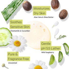 Tree to Tub Unscented Body Wash for Sensitive Skin & Dry Skin - Moisturizing pH Balanced Fragrance Free Body Wash, Hydrating Sulfate Free Body Soap for Women & Men w/Organic Shea Butter, Natural Aloe