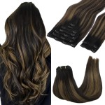 GOO GOO Clip in Hair Extensions Real Human Hair, Remy Human Hair Extensions Clip ins for Women, Natural Human Hair, 18inch 120g 7Pcs, 1B/6/1B Balayage Natural Black to Chestnut Brown