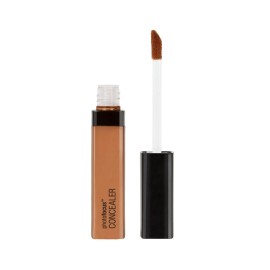 wet n wild Photo Focus Concealer, Dark Cocoa,0.29 Fl Oz (Pack of 1),845B wet n wild Photo Focus Concealer, Dark Cocoa,0.29 Fl Oz (Pack of 1),845B