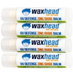 Waxhead Lip Sunscreen with Zinc Oxide Lip Balm SPF 20 Zinc Oxide Sunscreen Chapstick Sunblock for Lips, Reef Safe Waterproof Non-Nano Biodegradable Protection with Lanolin, Shea Butter (Mint 4 Pack)