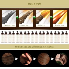 Organic Moroccan Argan-Oil Shampoo - MagiForet Moisturizing, Volumizing Sulfate Free Shampoo for Women, Men and Teens - Used for Dry Damaged Colored and all Hair Types, Anti-Aging Hair Care, 16.9 oz