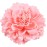 Hair Flower Clips Brooch Boutique Hair Accessories Bohemia Hairpins for Women Girls (Pink) 1 Count (Pack of 1)