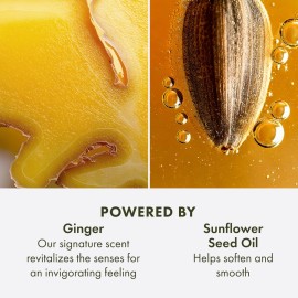 Origins Ginger Hand & Body Lotion | Hydrates & Softens | With Vitamin E & Aloe Vera, 6.7 Fl Oz Origins Ginger Hand & Body Lotion | Hydrates & Softens | With Vitamin E & Aloe Vera, 6.7 Fl Oz