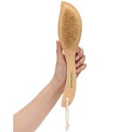 GranNaturals Dry Skin and Body Brush - 11.4 Inches - Improve Blood Circulation, Exfoliate Skin, Reduce Cellulite - Curved Natural Bristle Exfoliating Brush for Back, Legs, Feet