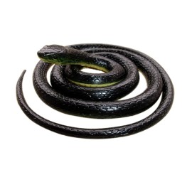 Brandon-super Realistic Rubber Black Snake 52 Inch Long Scare Toy