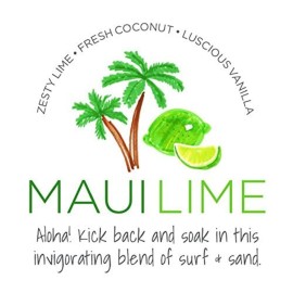 fave4 hair Travel Size Shampoo, Hydra Help to Moisturize and Nourish Dry, Damaged or Color Treated Hair, 2 fl oz fave4 hair Travel Size Shampoo, Hydra Help to Moisturize and Nourish Dry, Damaged or Color Treated Hair, 2 fl oz