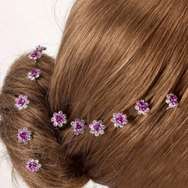 AKOAK 20 Pcs/Lot Women Wedding Bridal Clear Crystal Rhinestone Rose Flower Hair Pin Clips Hair Accessories Jewelry Barrettes HeadwearPurple AKOAK 20 Pcs/Lot Women Wedding Bridal Clear Crystal Rhinestone Rose Flower Hair Pin Clips Hair Accessories Jewelry Barrettes HeadwearPurple