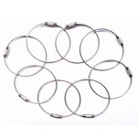 Jinsully 8pcs Stainless Steel Cable Key Ring Keychain with Screw Lock for Outdoor Sports (200mm)