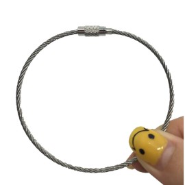 Jinsully 8pcs Stainless Steel Cable Key Ring Keychain with Screw Lock for Outdoor Sports (200mm)