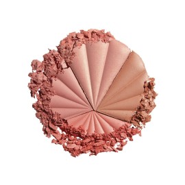 Milani Color Harmony Blush Palette - Berry Rays (0.3 Ounce) Vegan, Cruelty-Free Powder Blush Compact - Shape, Contour & Highlight Face with 4 Matte Shades Milani Color Harmony Blush Palette - Berry Rays (0.3 Ounce) Vegan, Cruelty-Free Powder Blush Compact - Shape, Contour & Highlight Face with 4 Matte Shades