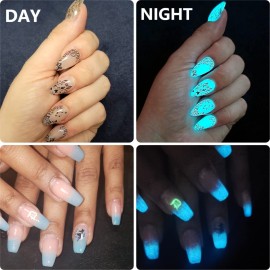 MEILINDS Night Fluorescence Pigment Ultrafine Glitter Glow Powder Nail Art Dust Glow in The Dark Powder Luminous Decor Tip Beauty Tool 12 Colors