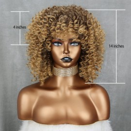 Xinran 14 inch Blonde Curly Wigs 70s, Kinky Brown Mixd Blonde Afro Wigs for Black Women, Synthetic Afro Curly Blonde Wigs for Women (Brown to Blonde)