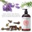 Laritelle Organic Hair Growth Set Shampoo 17 oz + Conditioner 16 oz + Hair Loss Treatment 4 oz Ayurvedic Herbs, Lavender, Ginger, Rosemary NO GMO, Sulfates, Gluten, Alcohol, Parabens, Phthalates