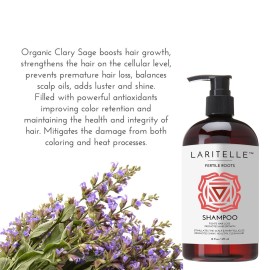Laritelle Organic Hair Growth Set Shampoo 17 oz + Conditioner 16 oz + Hair Loss Treatment 4 oz Ayurvedic Herbs, Lavender, Ginger, Rosemary NO GMO, Sulfates, Gluten, Alcohol, Parabens, Phthalates Laritelle Organic Hair Growth Set Shampoo 17 oz + Conditioner 16 oz + Hair Loss Treatment 4 oz Ayurvedic Herbs, Lavender, Ginger, Rosemary NO GMO, Sulfates, Gluten, Alcohol, Parabens, Phthalates