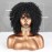 Xinran Black Curly Afro Wig for Women, Kinky Black Curly Wigs for Women, Natural Synthetic Curly Wig with Bangs