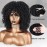 Xinran Black Curly Afro Wig for Women, Kinky Black Curly Wigs for Women, Natural Synthetic Curly Wig with Bangs