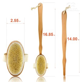 CROVIN Dry Brushing Body Brush with Natural Boar Bristle Dry Brush for Exfoliating Loofah Body Scrubber - Face Brush -Bath and Shower Gloves - Pumice Stone Foot Scrub - Men and Women (Pack of 5)