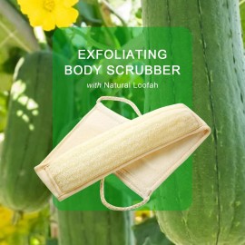 CROVIN Dry Brushing Body Brush with Natural Boar Bristle Dry Brush for Exfoliating Loofah Body Scrubber - Face Brush -Bath and Shower Gloves - Pumice Stone Foot Scrub - Men and Women (Pack of 5)