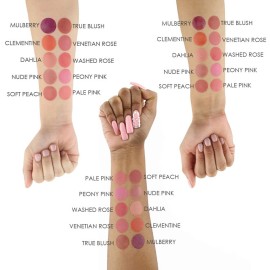 Temptu Perfect Canvas Airpod Blush, Venetian Rose, 0.1 Fl Oz Temptu Perfect Canvas Airpod Blush, Venetian Rose, 0.1 Fl Oz