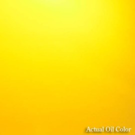 Natural Born Oils Moroccan Argan Oil. 4oz. 100% Pure and Natural, Cold-pressed, Organic. Natural Moisturizer for Your Skin and Hair