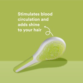 Michel Mercier Wet and Dry Hair Detangler - Soft Bristles Hair Brush - Anti-Slip Handle for Healthy, Shiny - Regular Hair - Green-White - 1 pc