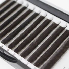 Scala Thickness 0.10mm C Curl Light Brown/Dark Brown/Black-Brown False lashes Individual Eyelash Extension Natural False Eyelashes (10mm, Black Brown)