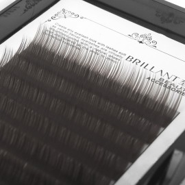 Scala Thickness 0.10mm C Curl Light Brown/Dark Brown/Black-Brown False lashes Individual Eyelash Extension Natural False Eyelashes (10mm, Black Brown)