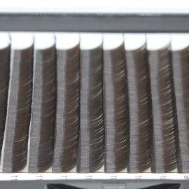 Scala Thickness 0.10mm C Curl Light Brown/Dark Brown/Black-Brown False lashes Individual Eyelash Extension Natural False Eyelashes (8mm, Black Brown)