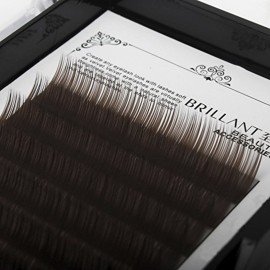 Scala Thickness 0.10mm C Curl Light Brown/Dark Brown/Black-Brown False lashes Individual Eyelash Extension Natural False Eyelashes (8mm, Black Brown)
