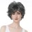 Aimole Short Curly Synthetic Wigs Full Capless Hair Women\'s Thick Wig for Everyday Grey Hair Wigs
