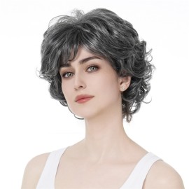 Aimole Short Curly Synthetic Wigs Full Capless Hair Women\'s Thick Wig for Everyday Grey Hair Wigs Aimole Short Curly Synthetic Wigs Full Capless Hair Women\'s Thick Wig for Everyday Grey Hair Wigs