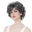 Aimole Short Curly Synthetic Wigs Full Capless Hair Women\'s Thick Wig for Everyday Grey Hair Wigs