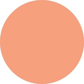 SNS Dipping Powder - Nude Collection - N20 (NC20) - Sparky - 1OZ