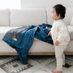 Saranoni Satin Back Receiving Blankets for Babies Super Soft Lush Luxury Baby Blanket (Gray Lush Navy Twinkle Star Satin Back, Receiving Blanket 30 x 40)