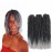 Haolocs 9 Bundles/Lot Marlybob Crochet Hair 8/10/12 Inchs Small Jerry Curl Braid Short Passion Twist Braids Afro Twist Synthetic Hair Kinky Curly Braiding Hair Extensions (T1B/Gray, 8 Inch)