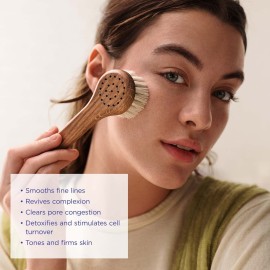 Province Apothecary Women\'s Daily Glow Facial Dry Brush, One Size Province Apothecary Women\'s Daily Glow Facial Dry Brush, One Size